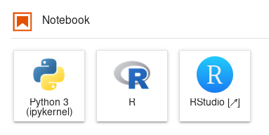 ../../_images/jupyterhub-rstudio-launcher.png