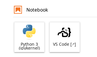 ../../_images/jupyterhub-vscode-launcher.png