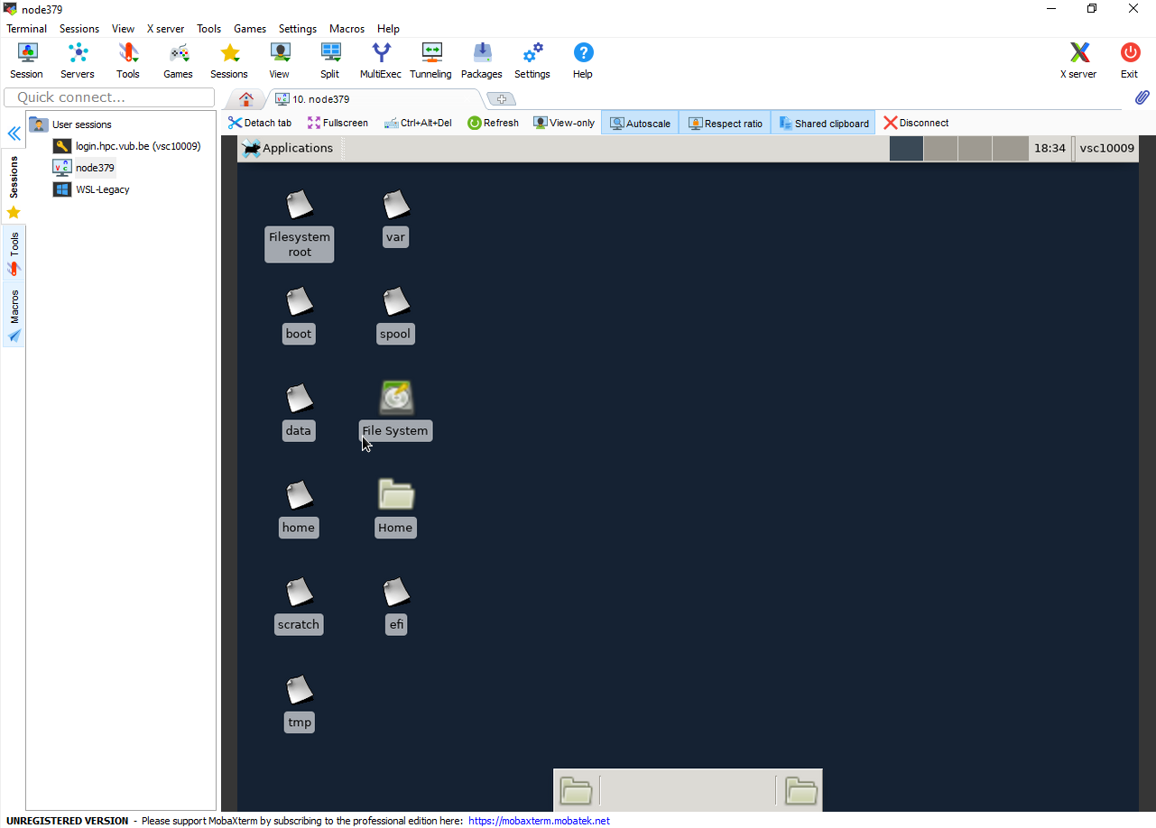 ../../../_images/vnc-mobaxterm-client-running.png